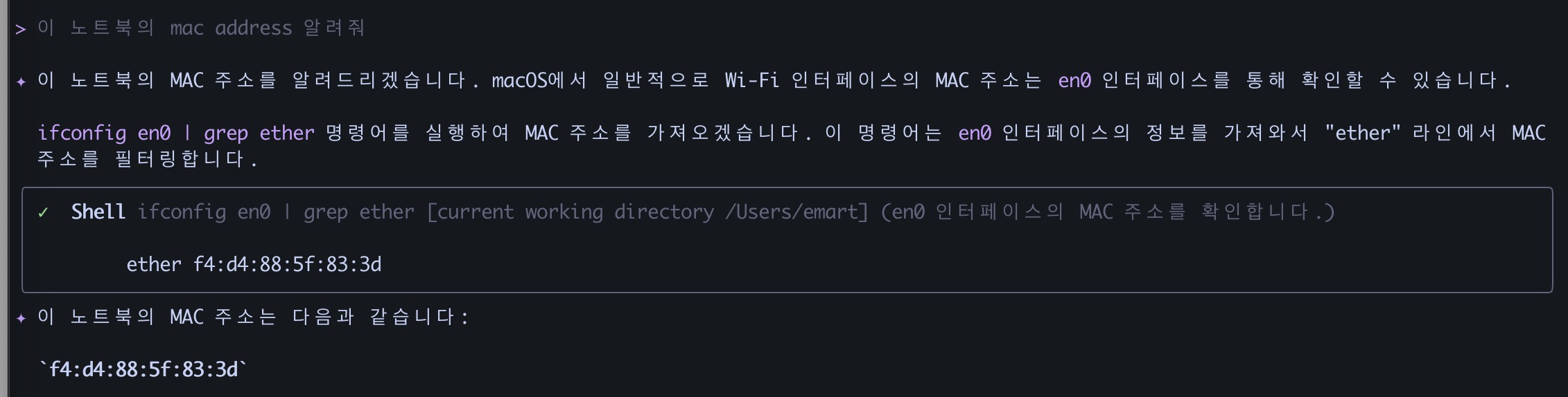 Gemini로 MAC 주소 찾기